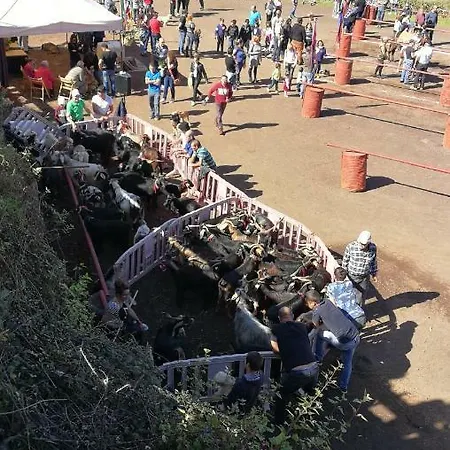 Сasa de vacaciones Casa Rural, Espectaculares Vistas Teide Wifi- Bbq *