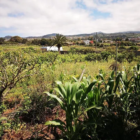 Casa Rural, Espectaculares Vistas Teide Wifi- Bbq Tacoronte
