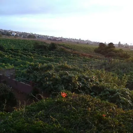 Casa Rural, Espectaculares Vistas Teide Wifi- Bbq Tacoronte