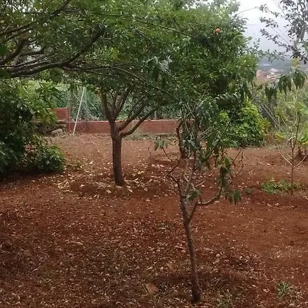 Casa Rural, Espectaculares Vistas Teide Wifi- Bbq